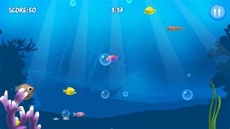 hungry fish online|Best Hungry Fish .
